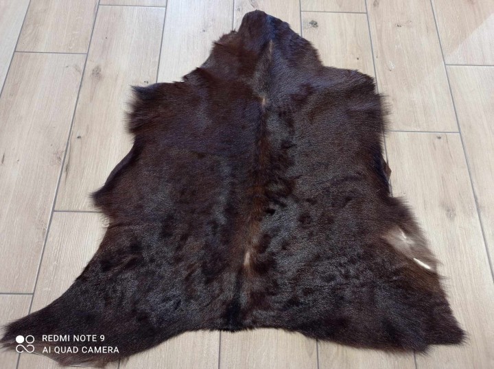 481387412_619198940734501_8034090400538983703_n