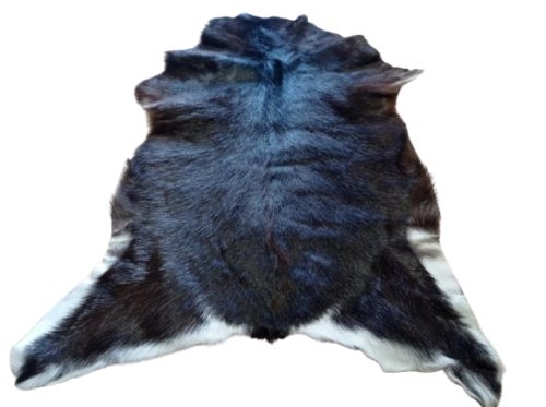 a4a0540d-933e-4e88-8c29-a4b22246ab49-removebg-preview