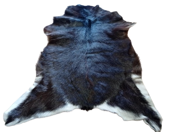 a4a0540d-933e-4e88-8c29-a4b22246ab49-removebg-preview