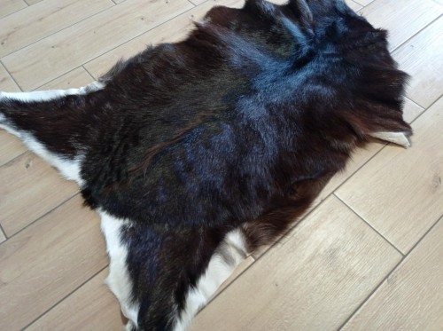 130e8069-126b-480d-aa48-8aa020c41540