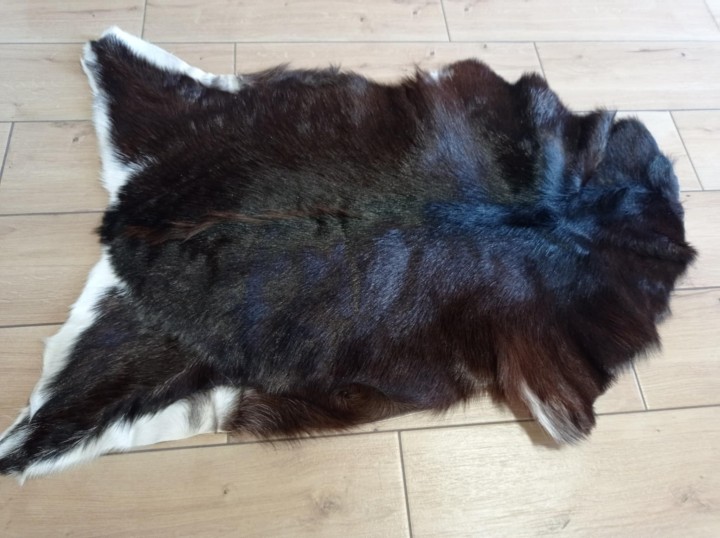 ed76d59e-c0c0-442b-89e0-9fe4a5c9e6ca