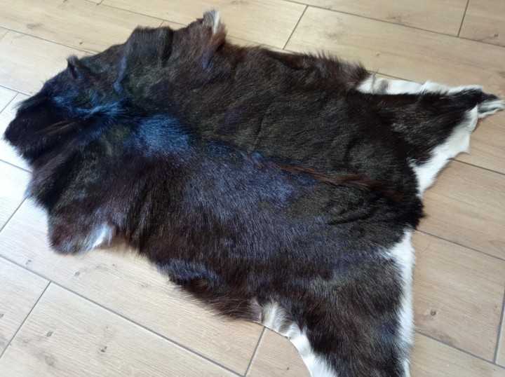 03195e5c-521a-406d-b9a7-672333af8b11