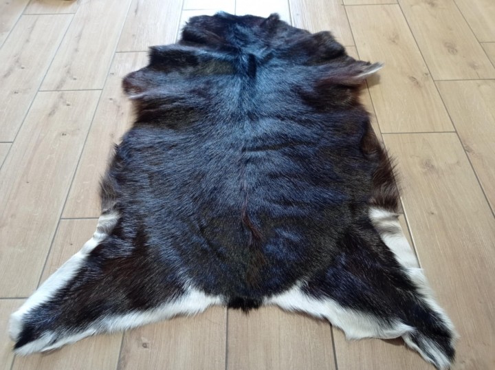 a4a0540d-933e-4e88-8c29-a4b22246ab49