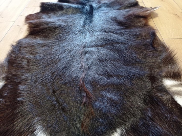 733f03da-55ea-43eb-8cf7-71da81c10e78