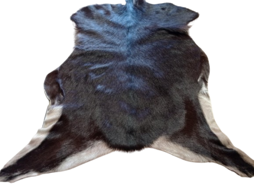 77d6645c-9e32-49f1-b3d7-bbc2f44f9394-removebg-preview