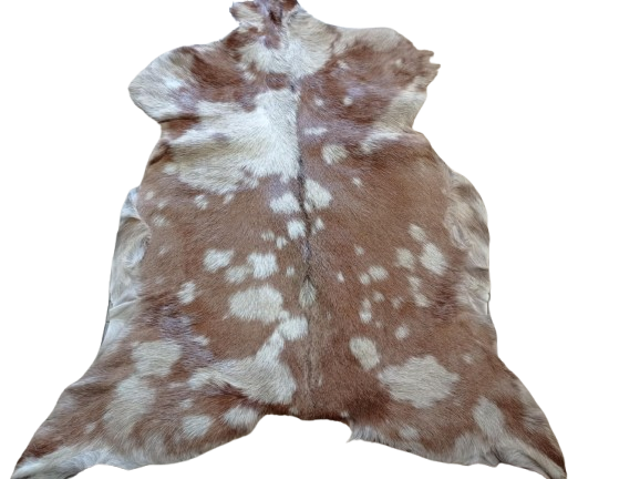 c542d789-225e-4b06-8a62-d43f177bec42-removebg-preview