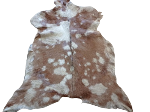 c542d789-225e-4b06-8a62-d43f177bec42-removebg-preview