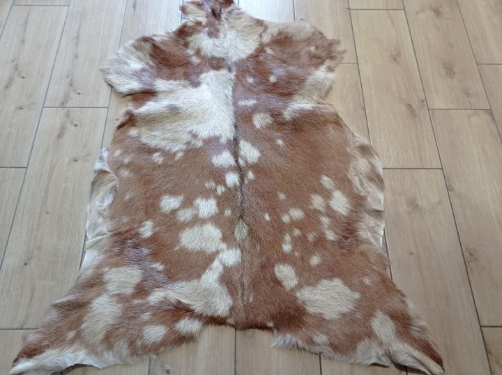 c542d789-225e-4b06-8a62-d43f177bec42