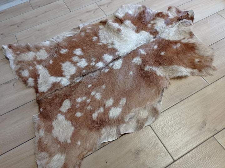 6512b0bd-584a-4903-9805-f2ac18435536