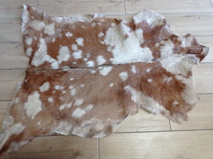 803d7d24-830d-4c3b-84ca-0283c618a7ea