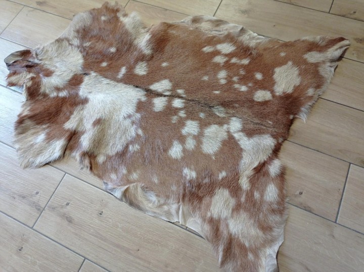 16fad704-23b8-4d7a-9607-0d3f808d18cb