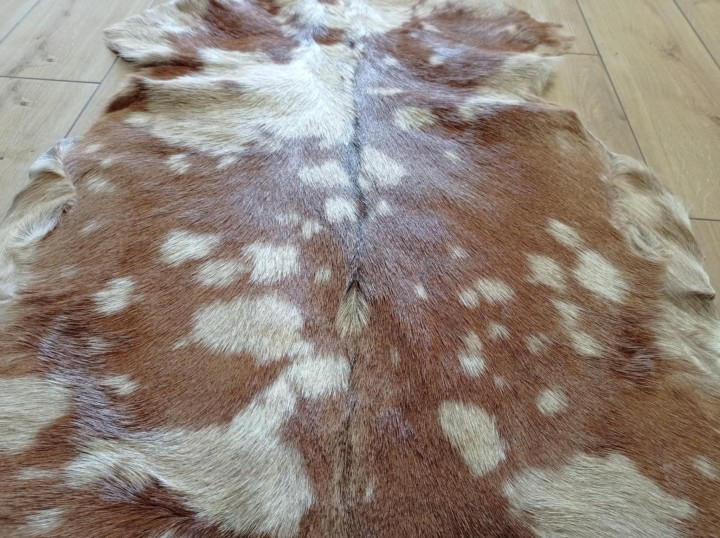 37323419-dfad-4dd2-889b-e9745a5437ed