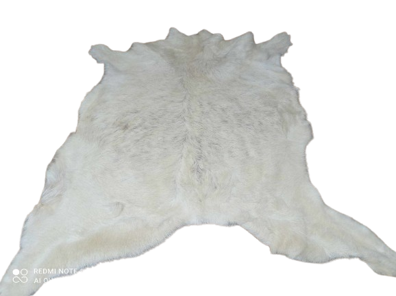 473006924_1135992434118114_456968541595884837_n-removebg-preview