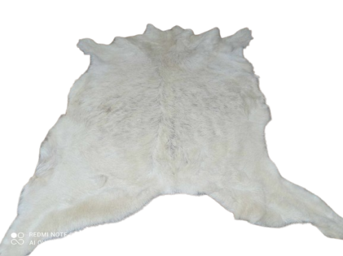 473006924_1135992434118114_456968541595884837_n-removebg-preview