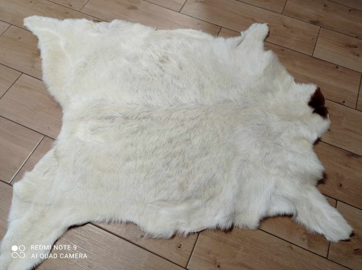 473826159_898947935737941_3909935794548674926_n