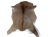 472996545_1015074663777166_5081040551623797746_n-removebg-preview