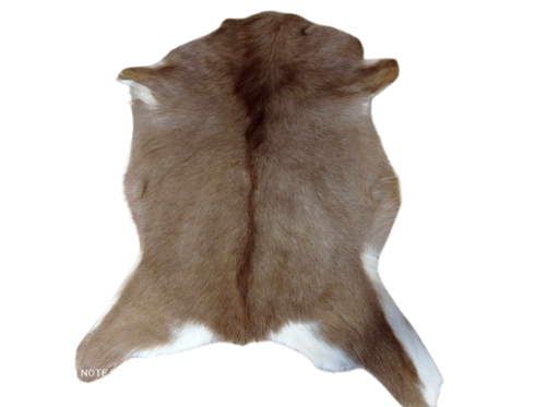 472996545_1015074663777166_5081040551623797746_n-removebg-preview