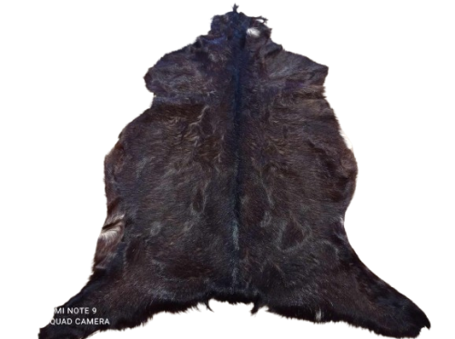 482820567_1303041914301641_9172692845790654327_n-removebg-preview