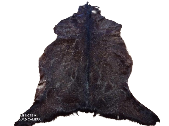 482820567_1303041914301641_9172692845790654327_n-removebg-preview