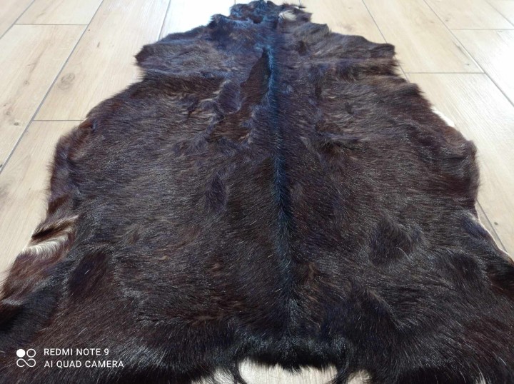 482341959_564265583329075_7679192075475878510_n