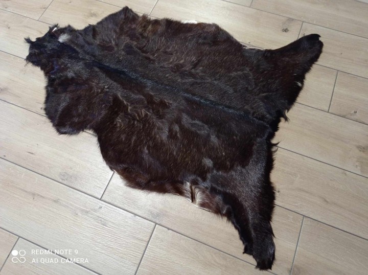 481491635_1605873560046336_3771579270706239884_n