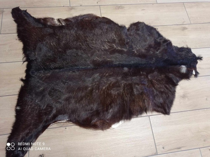 481118149_1467759387923201_2889872216306828091_n