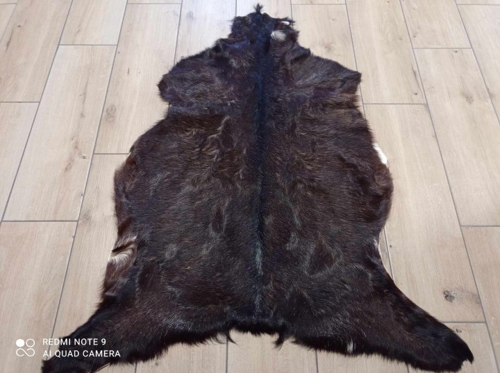 482820567_1303041914301641_9172692845790654327_n