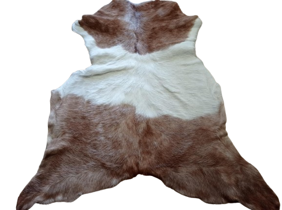 27fa0967-3ed8-420c-83ad-a7ba5c5c9ba4-removebg-preview