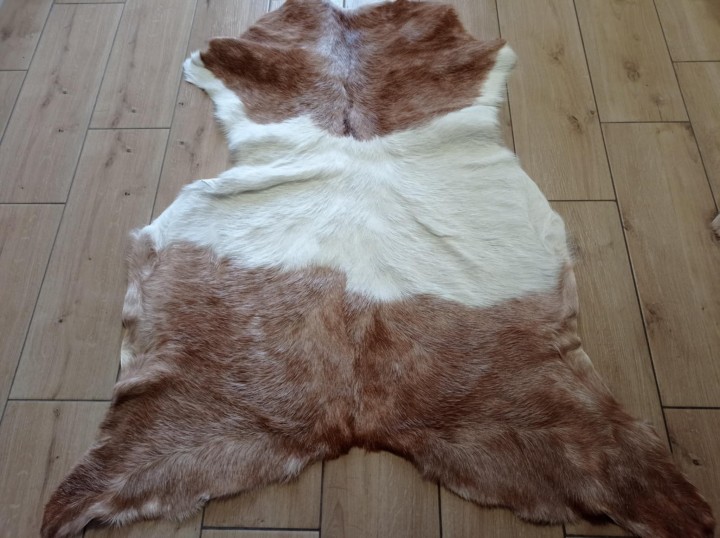 27fa0967-3ed8-420c-83ad-a7ba5c5c9ba4