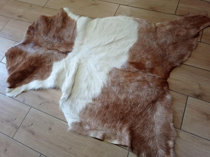 6459a5e6-95b2-4e7d-9c35-36cbcd15b4dd