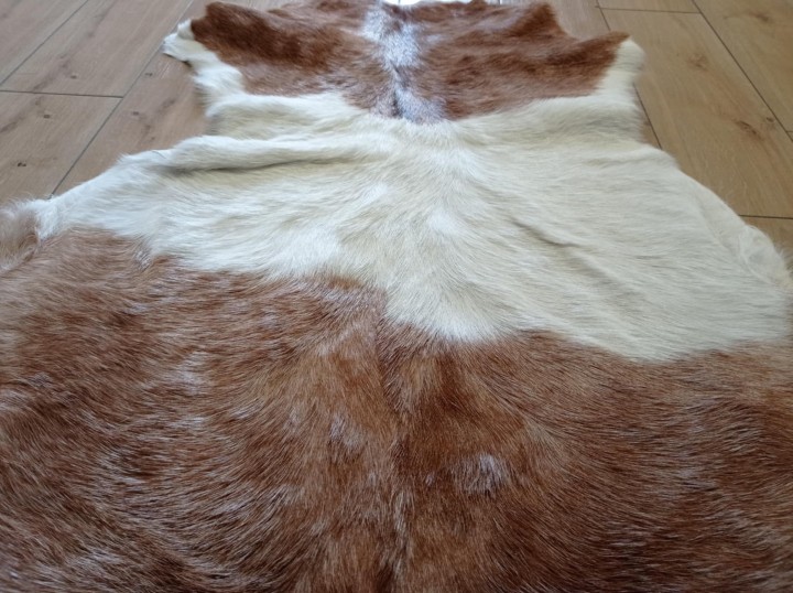 65ba958e-42a5-45e4-9de2-b4e69852800f