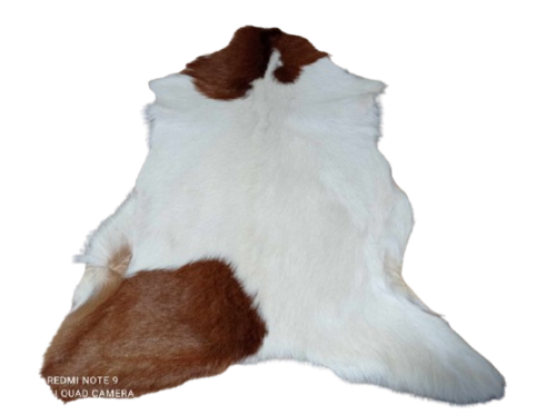 473097477_590693100413088_4073230929146485886_n-removebg-preview