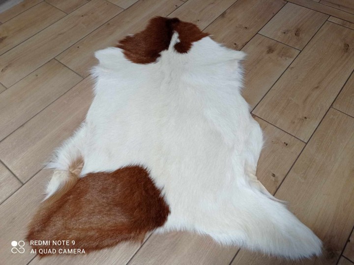 473097477_590693100413088_4073230929146485886_n