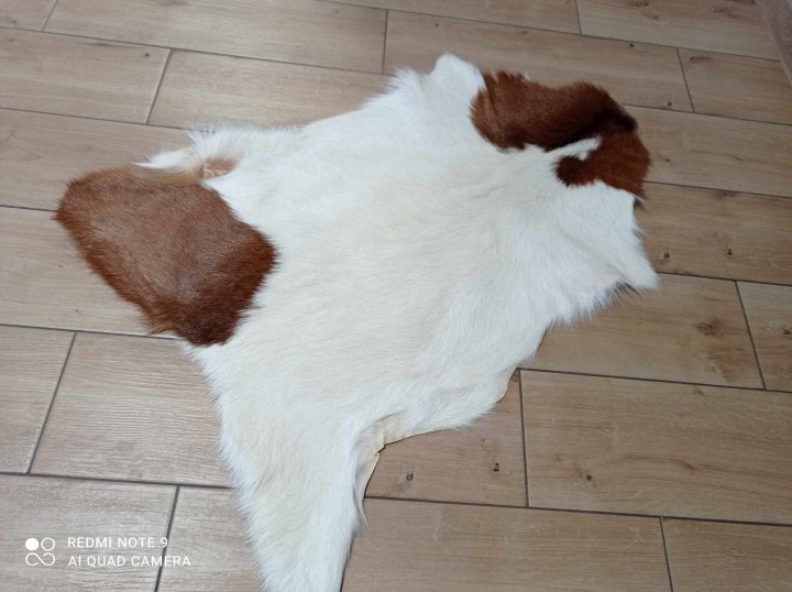 473159172_1268867594412679_1098800491931689832_n