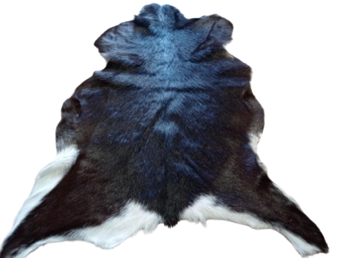 b4d04a14-0495-41e4-882d-3c036a965143-removebg-preview