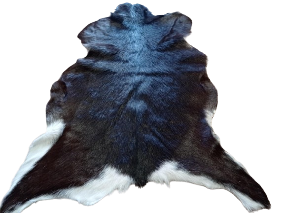 b4d04a14-0495-41e4-882d-3c036a965143-removebg-preview