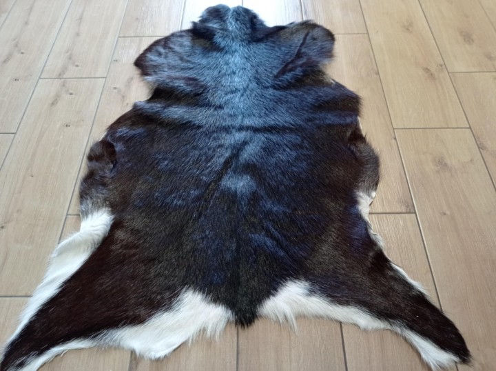 b4d04a14-0495-41e4-882d-3c036a965143