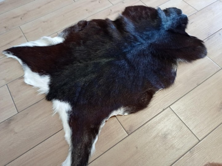 4b1eb115-333a-4f7b-a53c-52217101899f