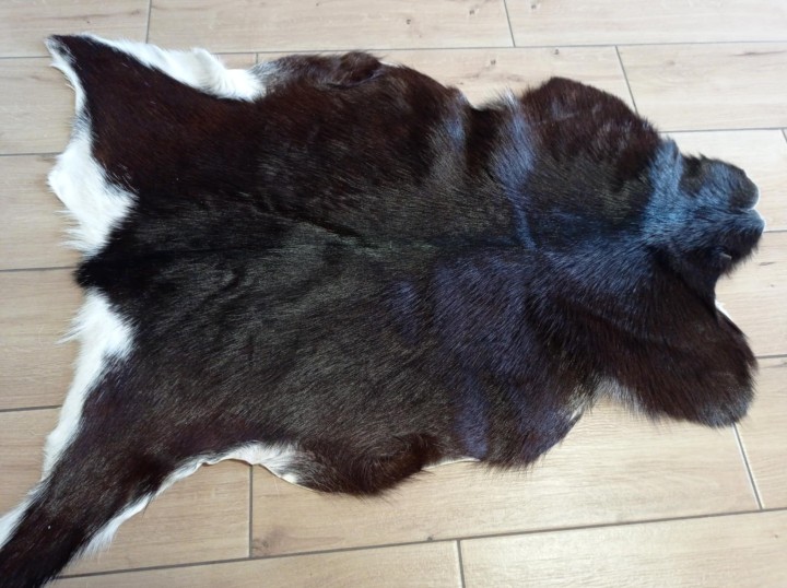 9c9f4dda-843c-446f-b9e7-fad715668c62