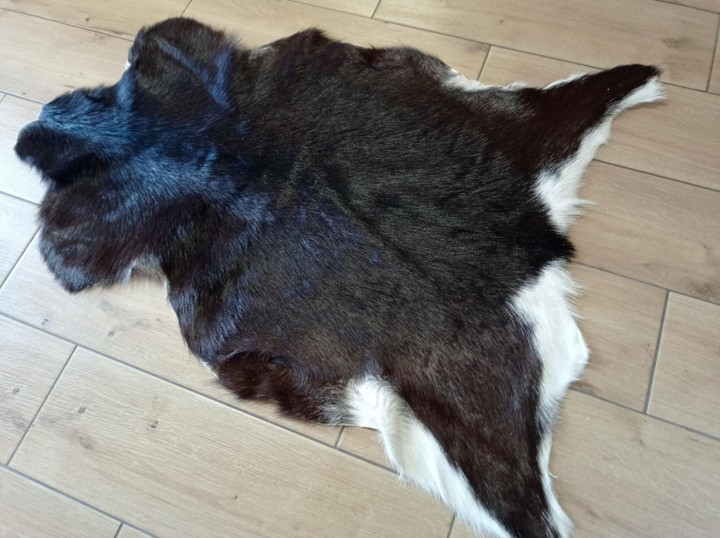 77a98d32-ffc4-49bd-b787-2618d79d6559