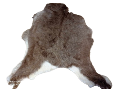 473693806_1825584584641077_6939636588675841572_n-removebg-preview