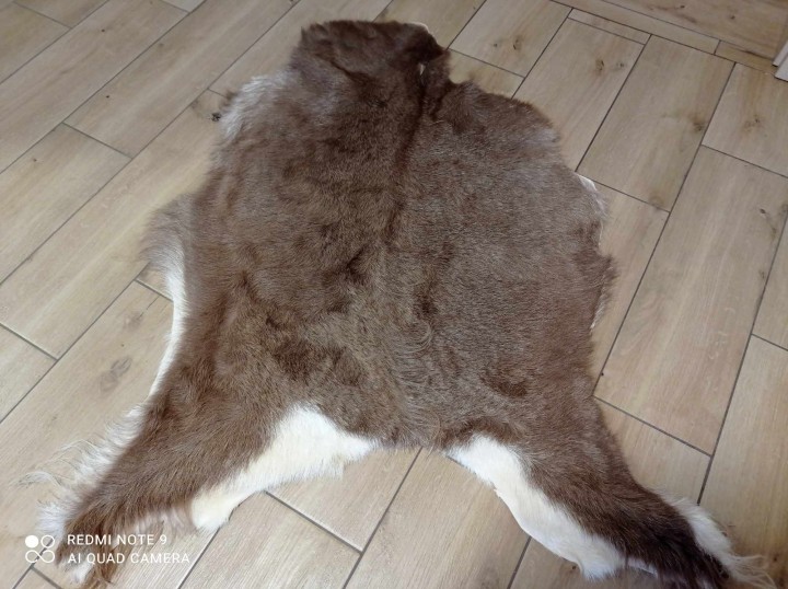 473693806_1825584584641077_6939636588675841572_n