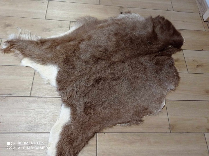 471329620_907024794790357_2486312950772125099_n