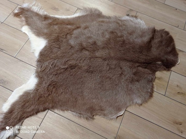 472801350_914861680553421_8399553871235763144_n