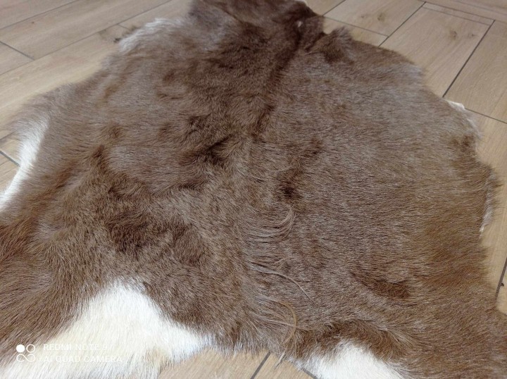 473152015_567339299471503_3942686766564259496_n