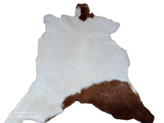 467478093_479747237896046_1692541106465832589_n-removebg-preview