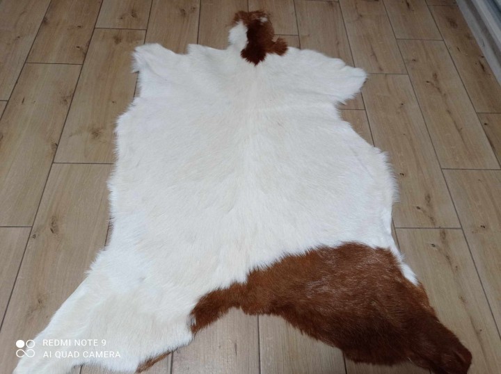 467478093_479747237896046_1692541106465832589_n