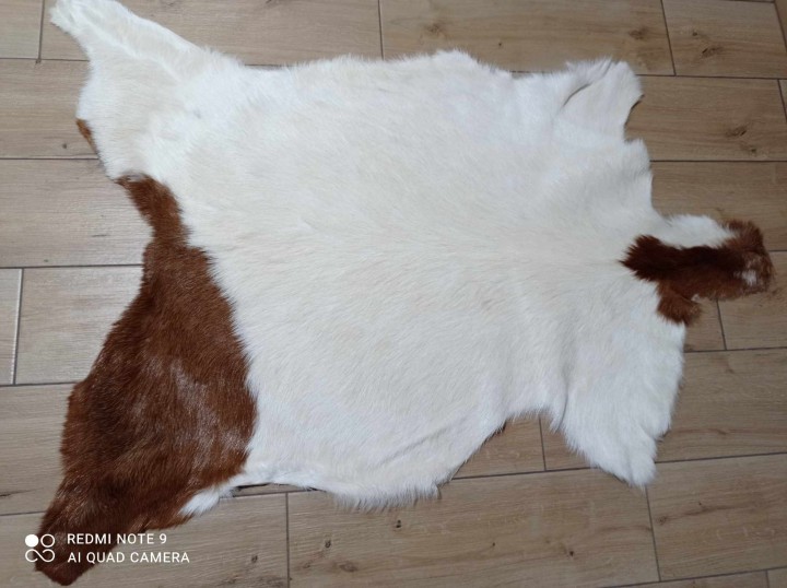 462583277_556860990642499_8426775725138663082_n