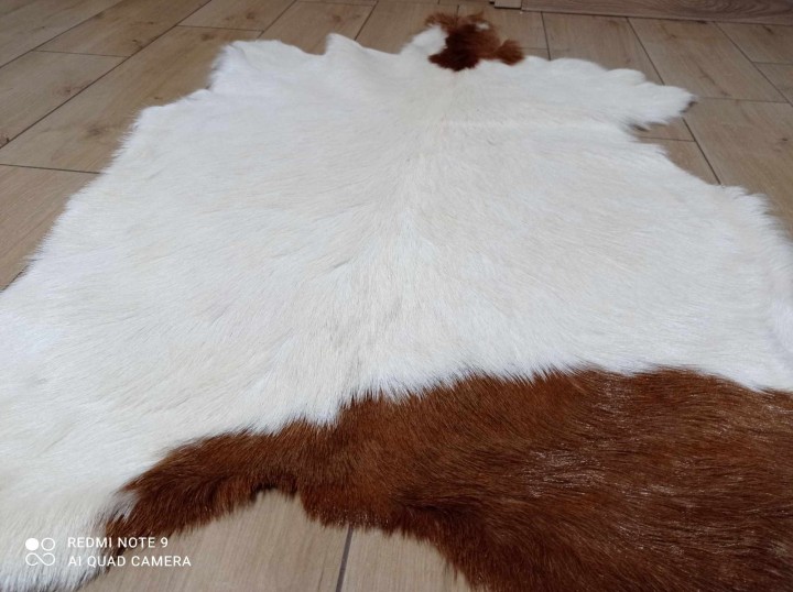 462572830_1589964148288109_978016121036926199_n