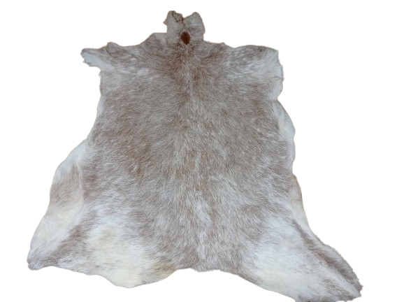 462569870_536941315920189_7649289227999174840_n-removebg-preview